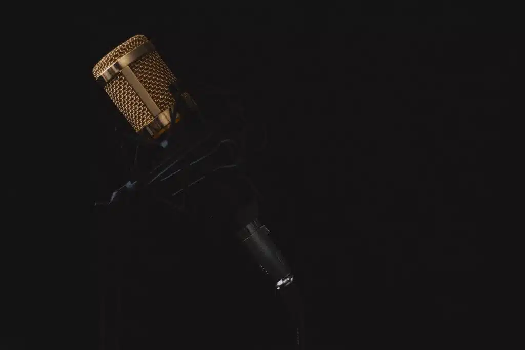 studio microphone