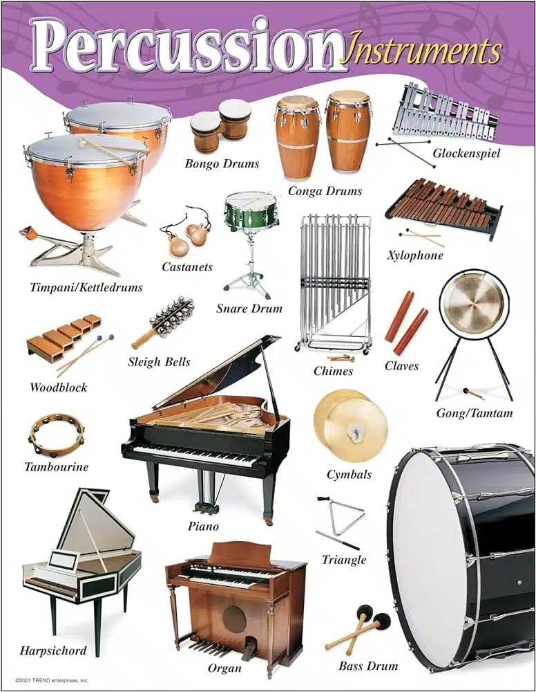 Percussion Instruments 81b6sawvlql. Ac Uf8941000 Ql80