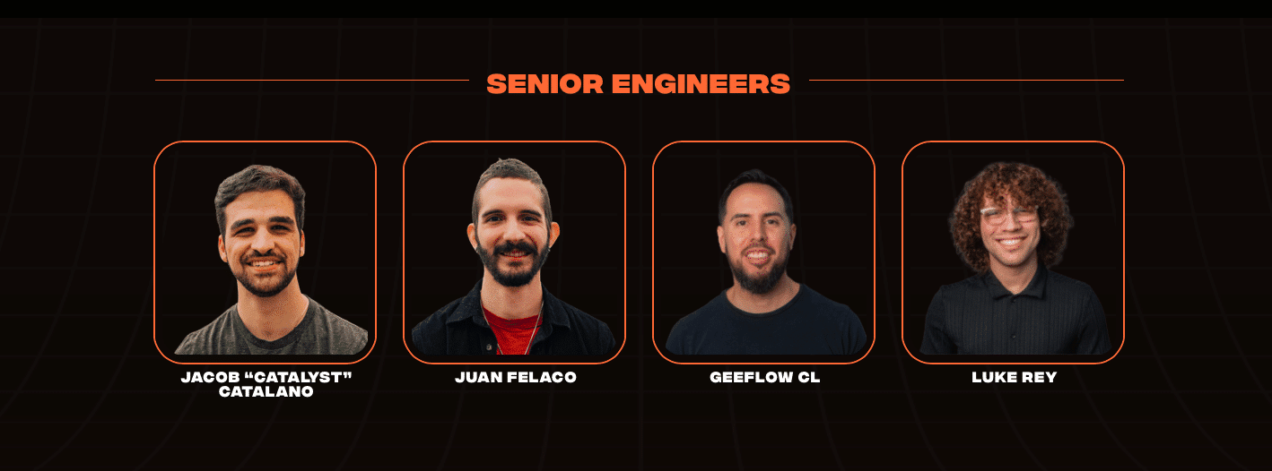 Senior Engineers